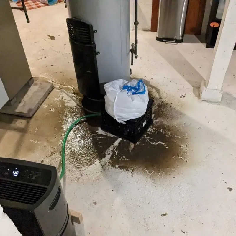 Sewage Backup Cleanup Service in Lebanon, OR